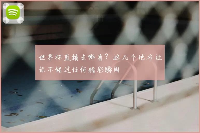 世界杯直播去哪看?这几个地方让你不错过任何精彩瞬间
