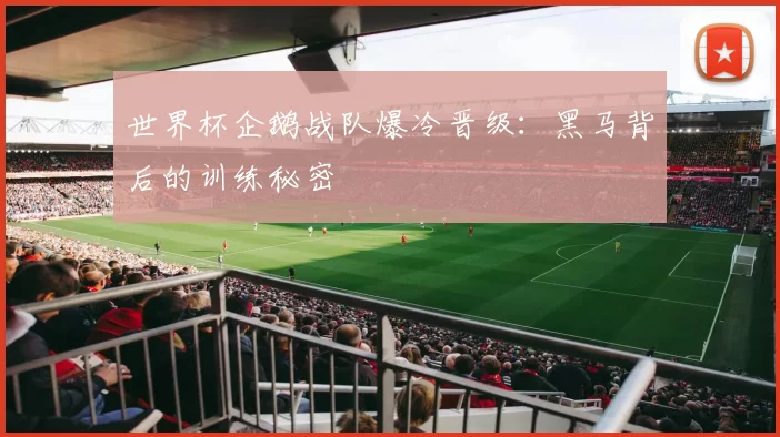 世界杯企鹅战队爆冷晋级：黑马背后的训练秘密