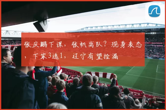 张庆鹏下课，张帆离队？现身表态，下家3选1，辽宁有望捡漏