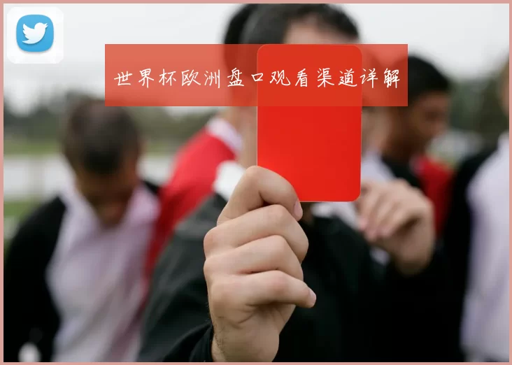 世界杯欧洲盘口观看渠道详解
