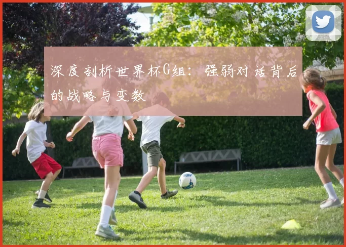 深度剖析世界杯G组:强弱对话背后的战略与变数