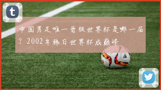 中国男足唯一晋级世界杯是哪一届？2002年韩日世界杯成巅峰