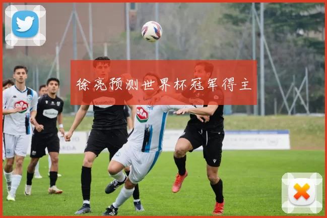 徐亮预测世界杯冠军得主