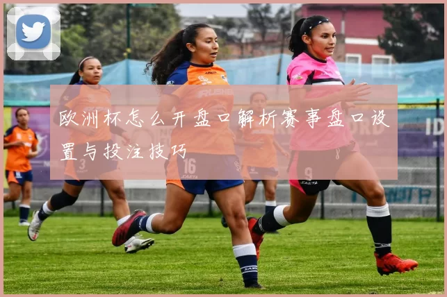 欧洲杯怎么开盘口解析赛事盘口设置与投注技巧