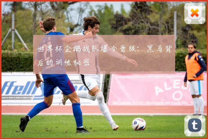 世界杯企鹅战队爆冷晋级：黑马背后的训练秘密