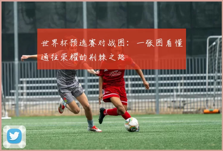 世界杯预选赛对战图：一张图看懂通往荣耀的荆棘之路